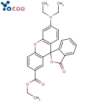 ethyl 6'-(diethylamino)-3-oxospiro[2-benzofuran-1,9'-xanthene]-2'-carboxylate