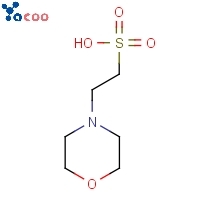 4 - morfolinoetanosulfónico