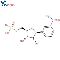 NMN CAS:1094-61-7 β-mononucleótido de Nicotinamida