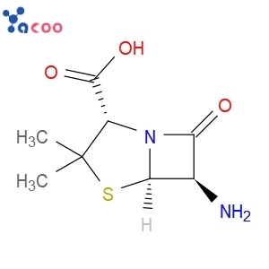 China 6-Aminopenicillanic acid  CAS551-16-6 Manufacturer,Supplier